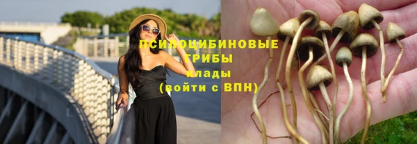 индика Алексеевка