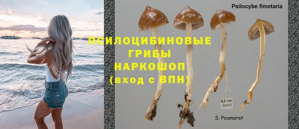 индика Алексеевка