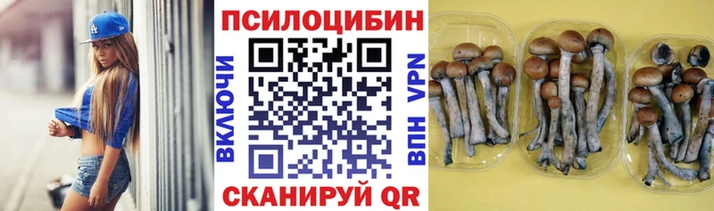 ссылка на мегу рабочий сайт Углич Галлюциногенные грибы мицелий