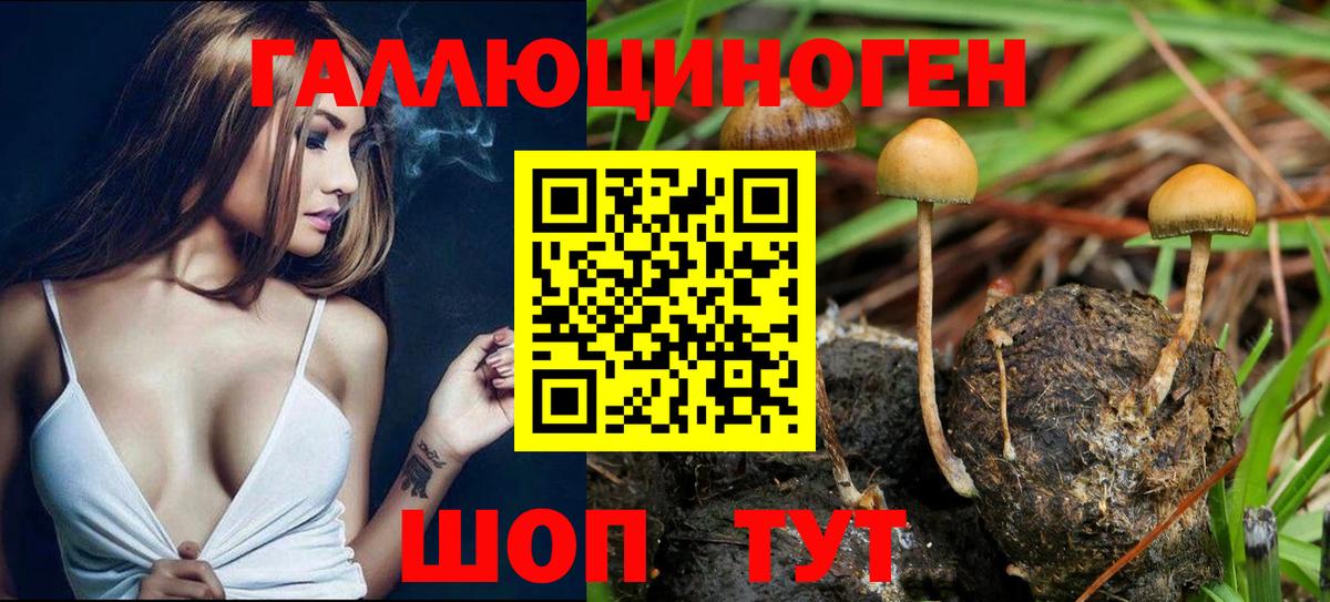 Углич  Галлюциногенные грибы мухоморы  Вход с VPN  Псилоцибиновые грибы прущие грибы 
