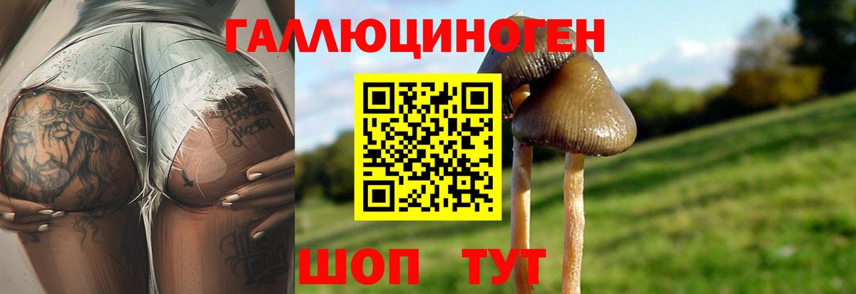 Псилоцибиновые грибы мухоморы Углич